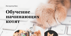 Сайт инструктора Кекса
